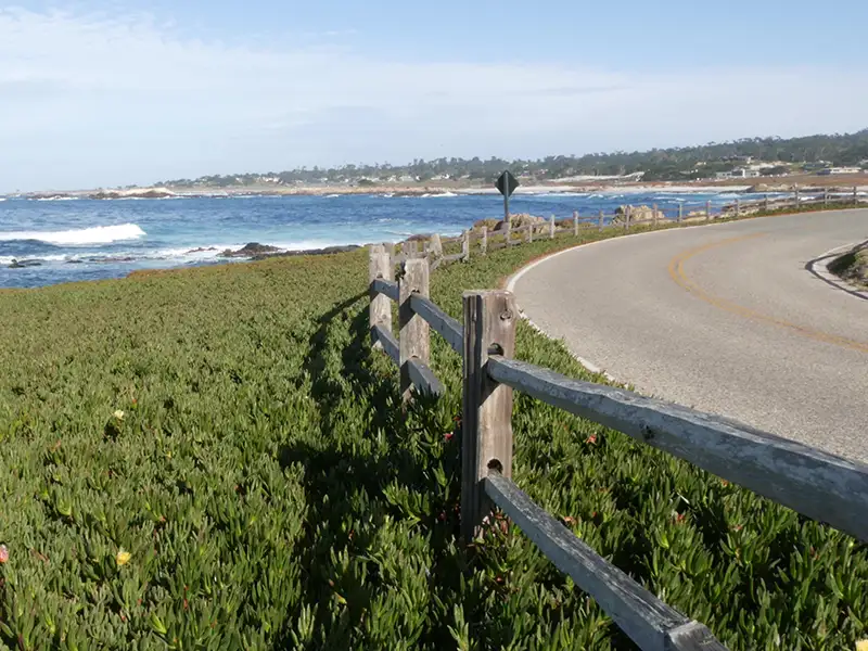 The 17-Mile Drive
